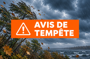 Avis de tempête